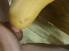 more squash fuck