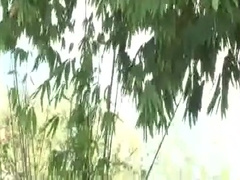 Leo Forte and Isaac Hardy