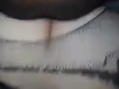 Bear CD bttm gets bred by top bear