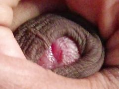 One women four boys gangbang sex