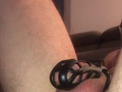 Encaged Anal Invasion Gimp Despairingly Attempting To Jism