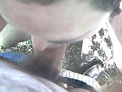 Blasen und Eichel lecken im Wald