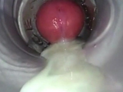 Ample Pop-Shots (Not Me)