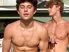 Sexy twinks dancing