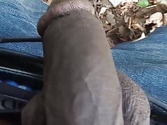 For Sissy slave cock whore
