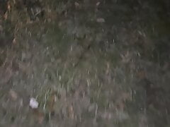 Pee at bushes