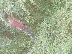 Masturbating looking at girls pg at daytime (Guwahati)