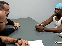 Teddy, fellatio, bareback