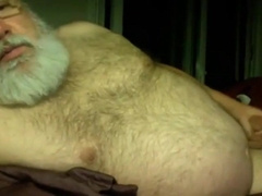Silver Daddy Bear 8