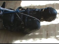 Slave hogtied in the straitjacket