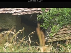 Luke Hamill And Mark Vernon And Tobias Hayek Original