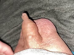 quick wank my small foreskin cock with cumshot