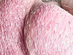 Very accurate details of the cock and testicles in the best quality