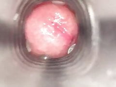 Fleshjack Flight Internal Cumshot