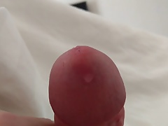cum in the morning
