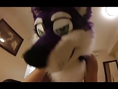 husky femboy riding