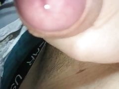 Penis