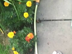 Garden piss