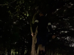 A Night Flashing Off at the Park - Trailer