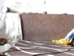 Asian guy wanking