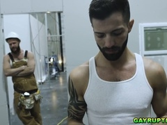Gay-porn, fag, fellatio