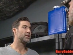 Basement, wolves, gay-hardcore