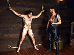 Inked freaks have some fun in rough circumstances