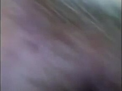 Hi KC Dane Viking a Ginger Teddy