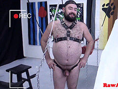 round mature wolves plumbing asses bareback