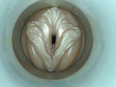 My Hard Swollen Cock by cum cam man