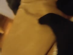 Lying on the Couch Playing with My Little Cock and Dreaming of a Slightly Wet Hole to Put It in