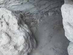 The plan was to go for a walk and de-pressure but it concluded up leaving my fuck-hole broad open