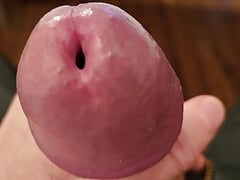 My dick head