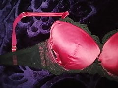 Cum on Satin Pink Bra 32D