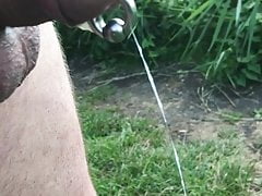 Twiske precum