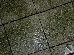Evening cum