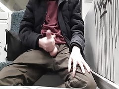 Wanking and Cumming in the train again