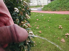 My boyfriend pee in public and me filming