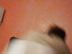 Need cock
