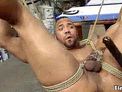 strung up slave sucks doms cock before cum-shot