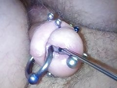 #13 Rosebud in my peehole