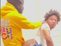 Dl plumb Realprincetae