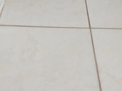 Quero ser travesti