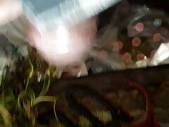 1st time new lund ka seel todte hue