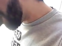 A great bearded sucker