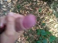 helping hand in park 6