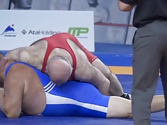 Bear wrestling