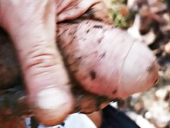 fallen into the mud and rubbed clean