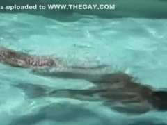 Best of Colt 7 and 8