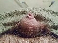 small n cute